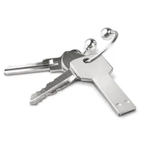 8GB Key USB Flash Disk   Lead Time: 1~3 Days.
