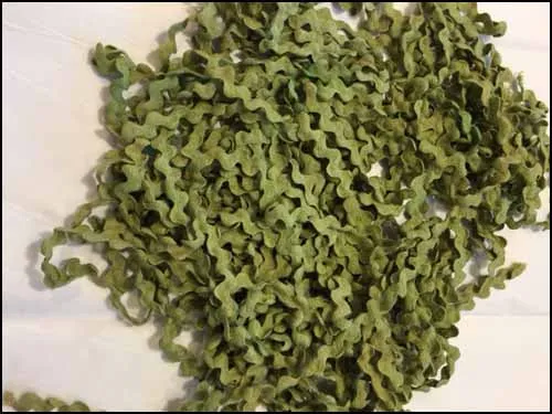 Algae Rick Rack - Lady Dots Creates Finishing Trims