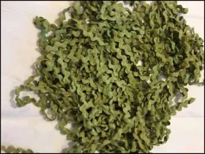 Algae Rick Rack - Lady Dots Creates Finishing Trims