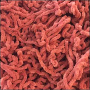 Barn Door Cotton Chenille - Lady Dots Creates Finishing Trims