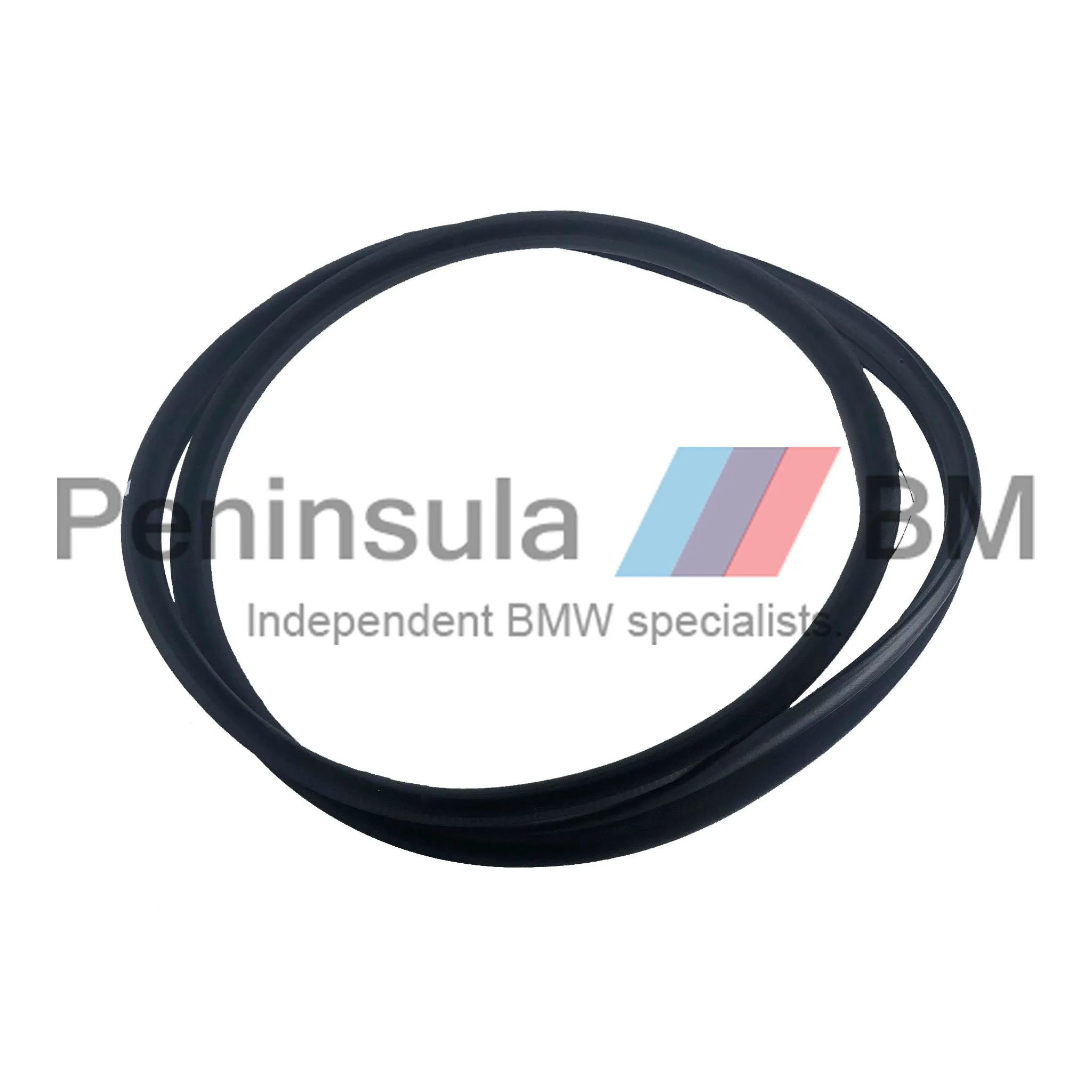 BMW Door Seal Front Right F34 GT Genuine 51767385026
