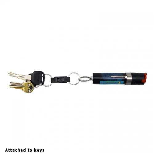 Break Away Key Ring