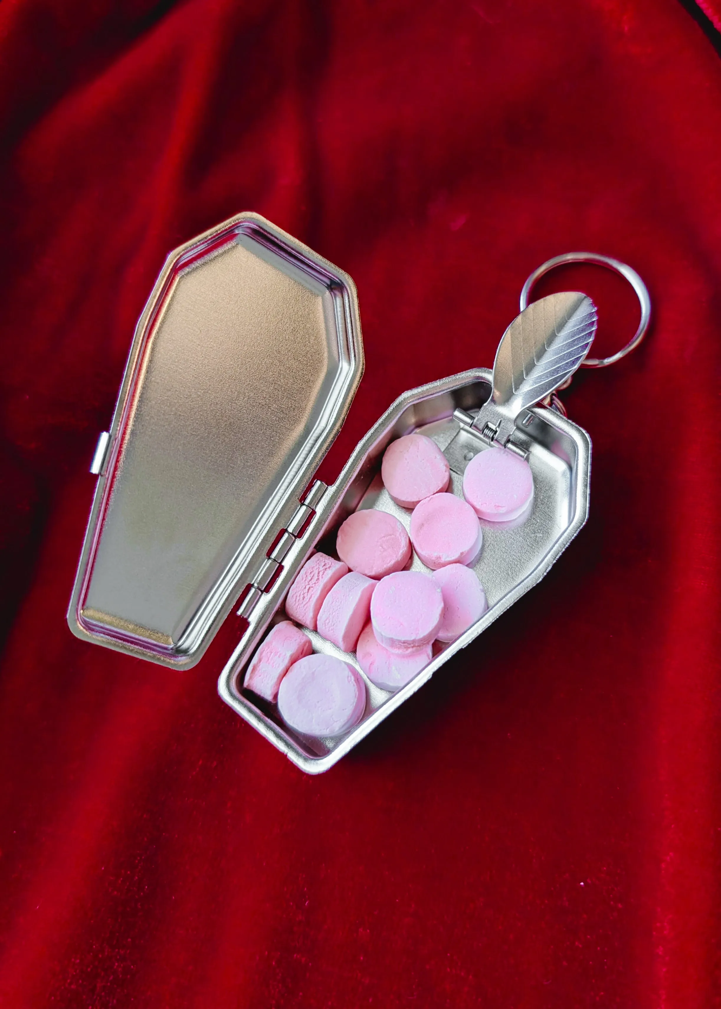 Coffin Case Keychain <br> <i> Limited Edition! </i>
