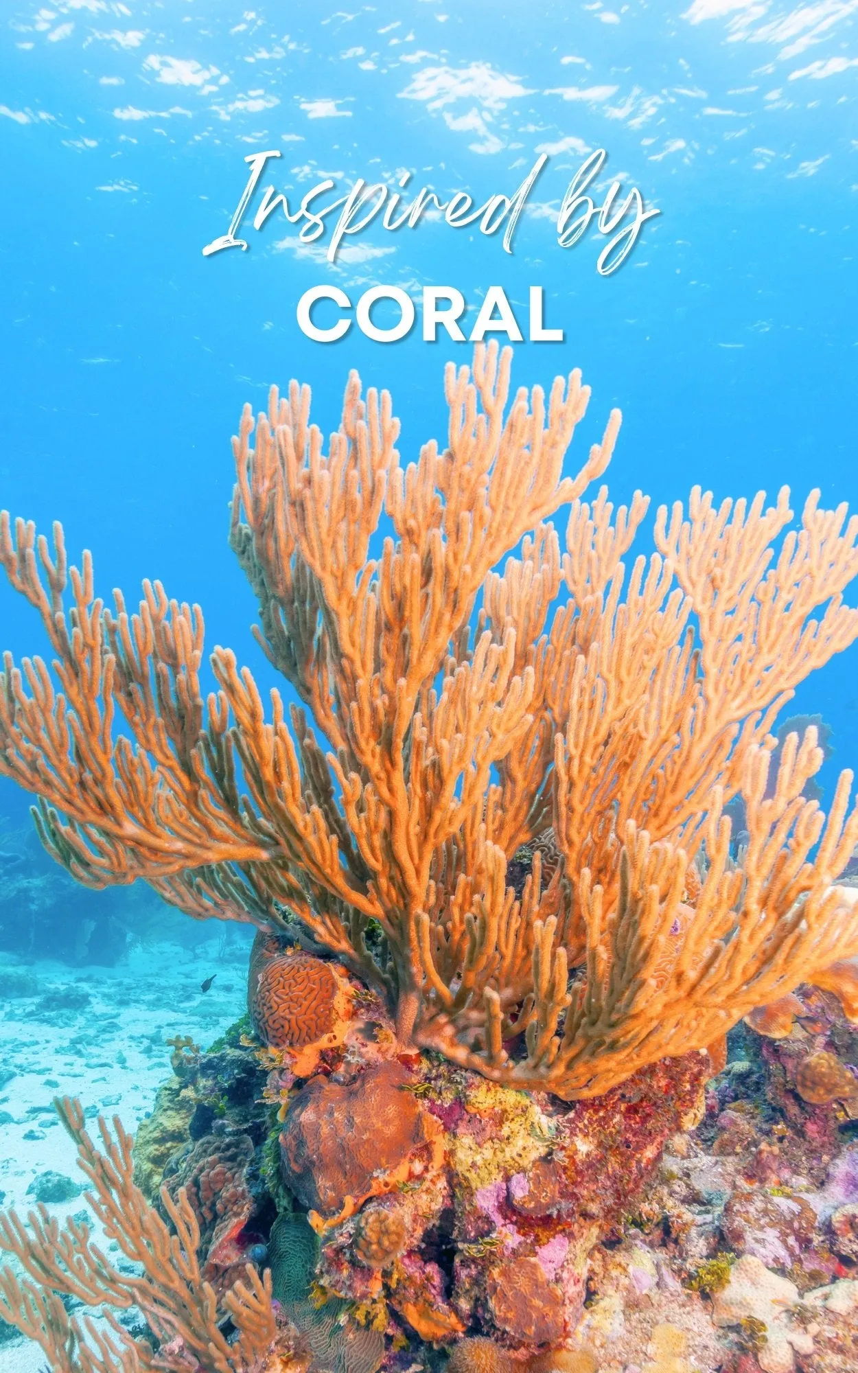 Coral 1/4 oz Gemstone Perfume Oil Concentrate Roll-On by Sage