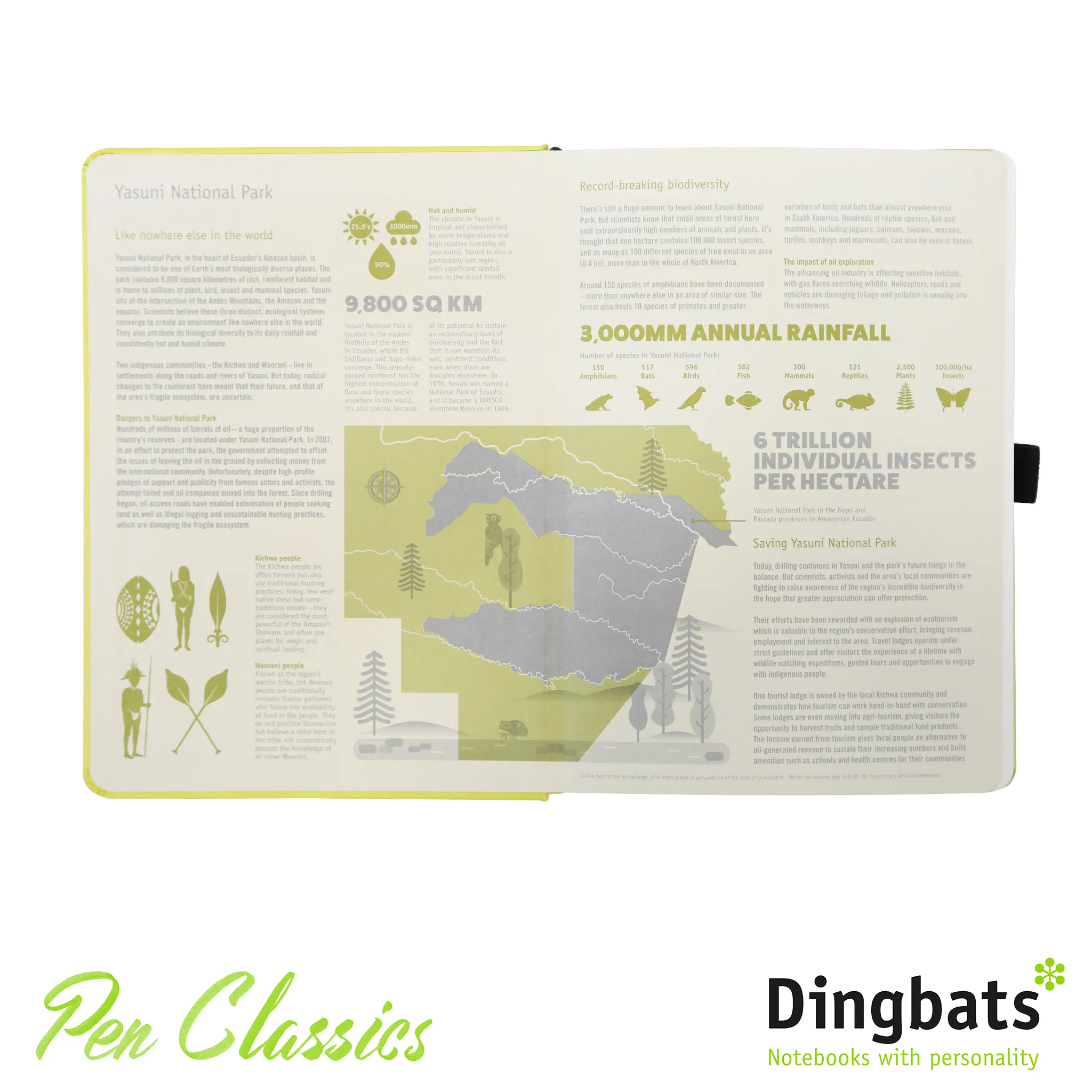 Dingbats* Earth A5  Lime Yasuni Notebook - Dotted