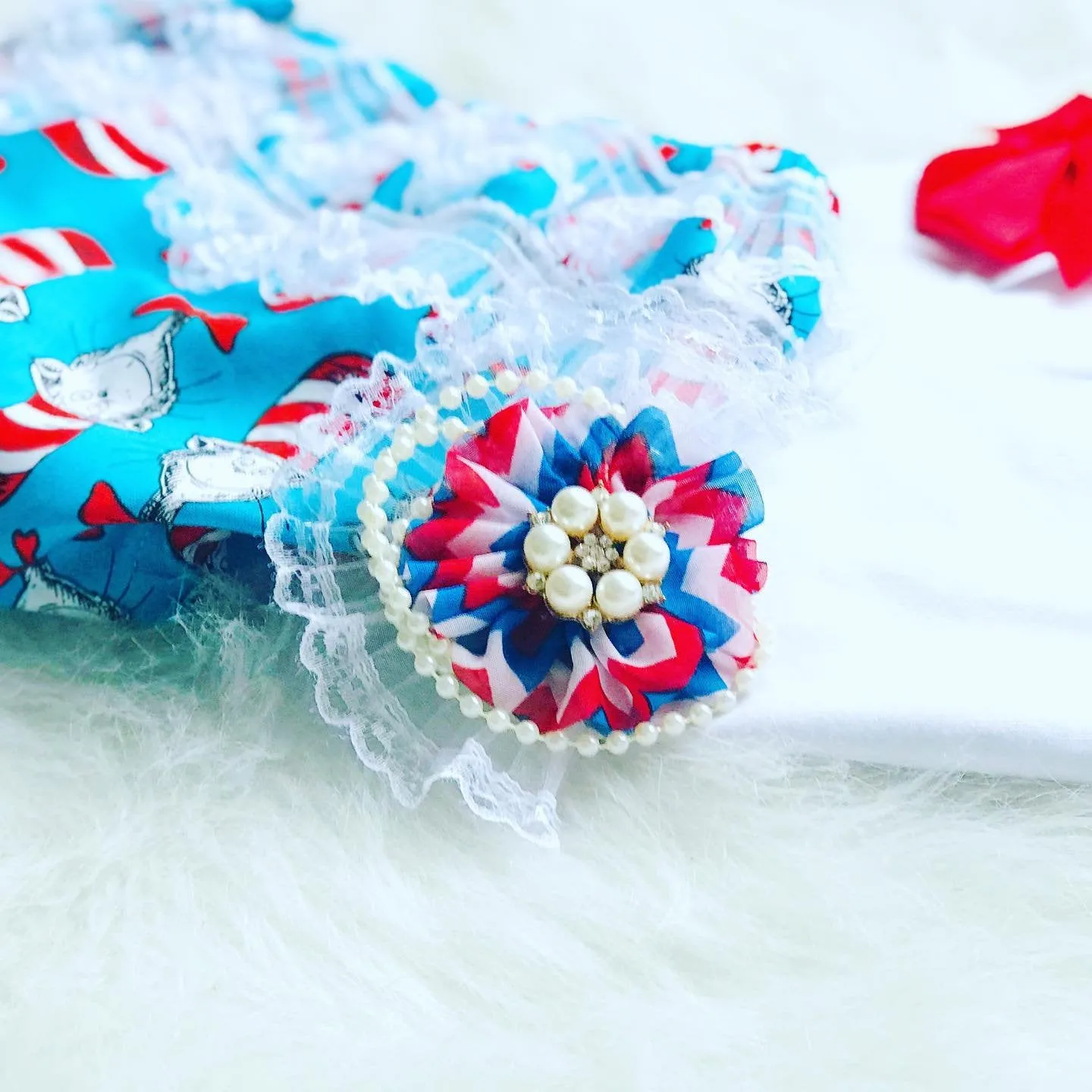 Dr. Seuss "Cat in the Hat" Birthday Outfit (Girls)