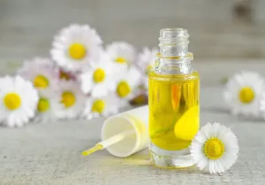 Flexible Starter Natural Cuticle Oil Safety Assessment