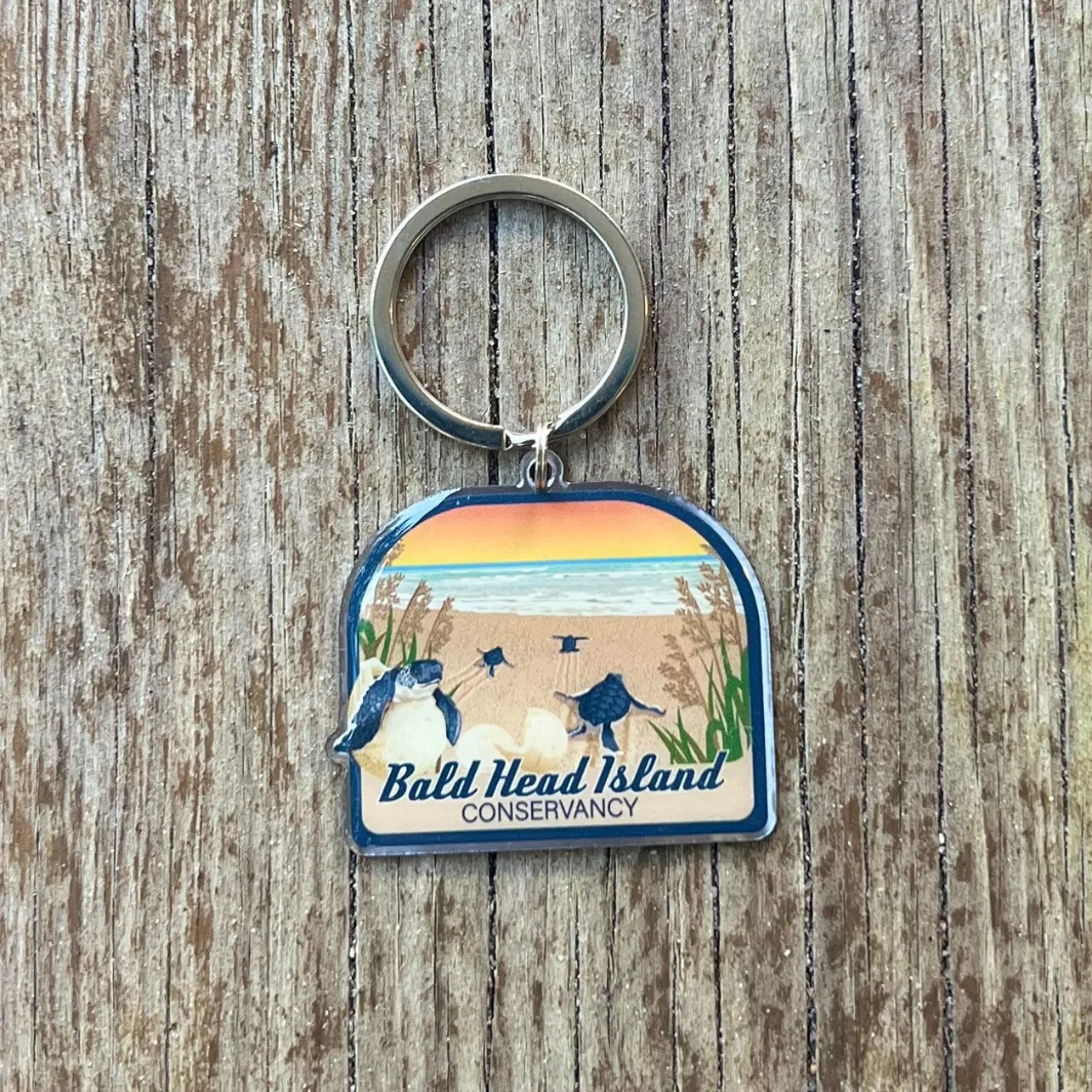Hatchlings Journey Keychain