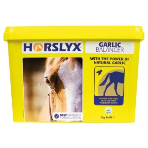 Horslyx Garlic Lick