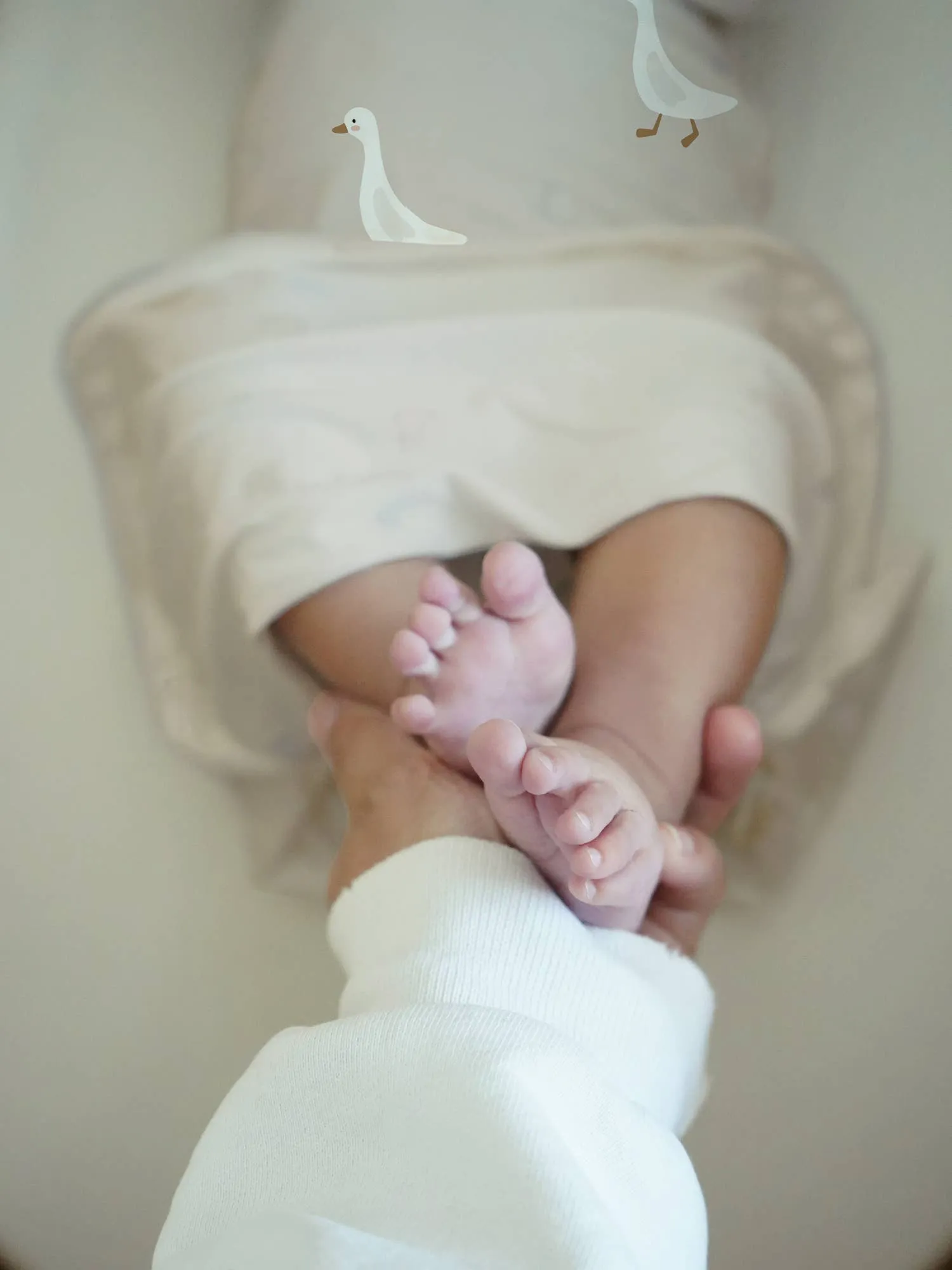 Newborn Gown