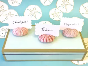Pink Sea Urchin Place Card Holders, Set of 4