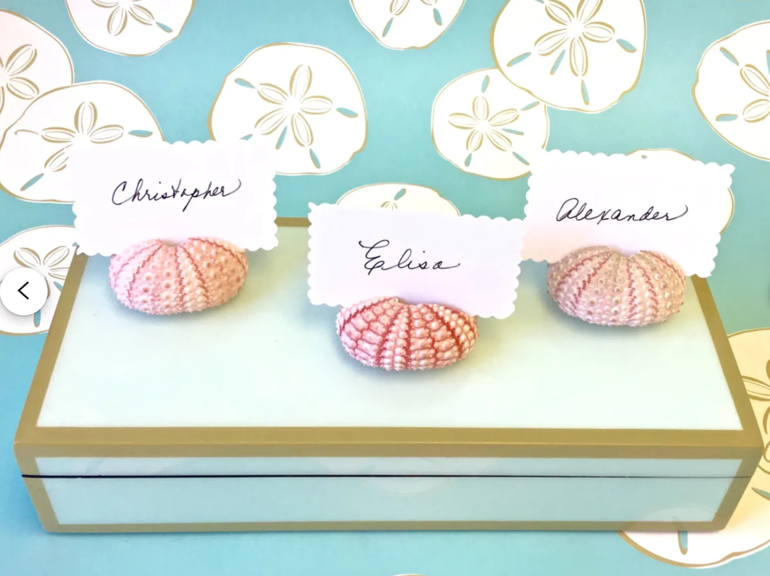 Pink Sea Urchin Place Card Holders, Set of 4