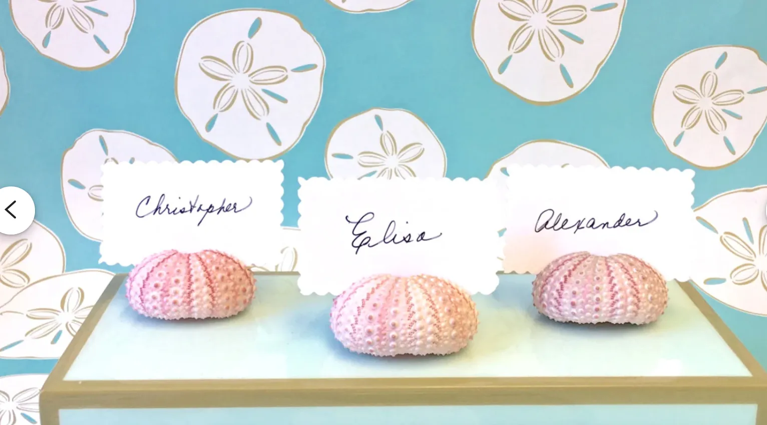 Pink Sea Urchin Place Card Holders, Set of 4