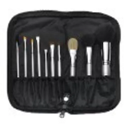 Qe Silver Professional Brush Set