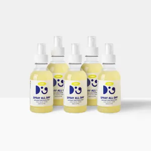 SPRAY ALL DAY SAVVY SET | Brush, Shine, Texture, Style & Save