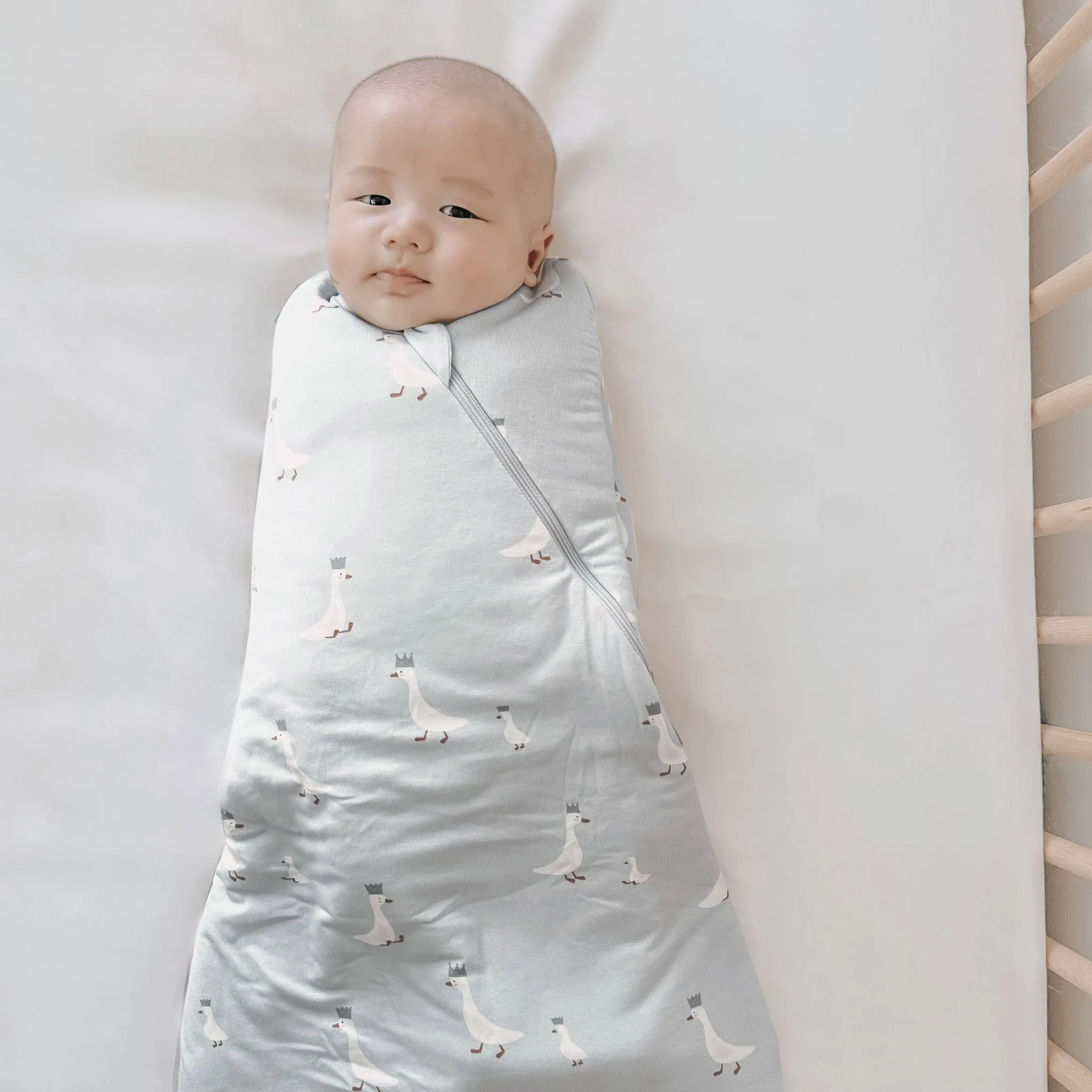 Swaddle Sleep Bag